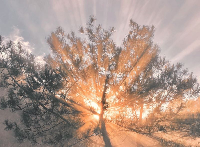 The Fine-Tuning of the Universe